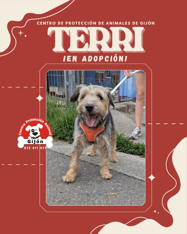 Foto TERRI