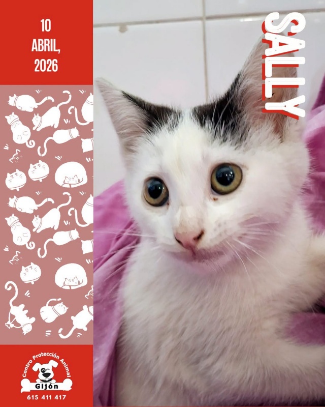 Foto SALLY