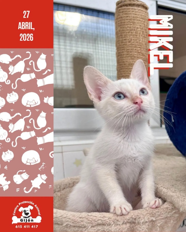 Foto MIKEL