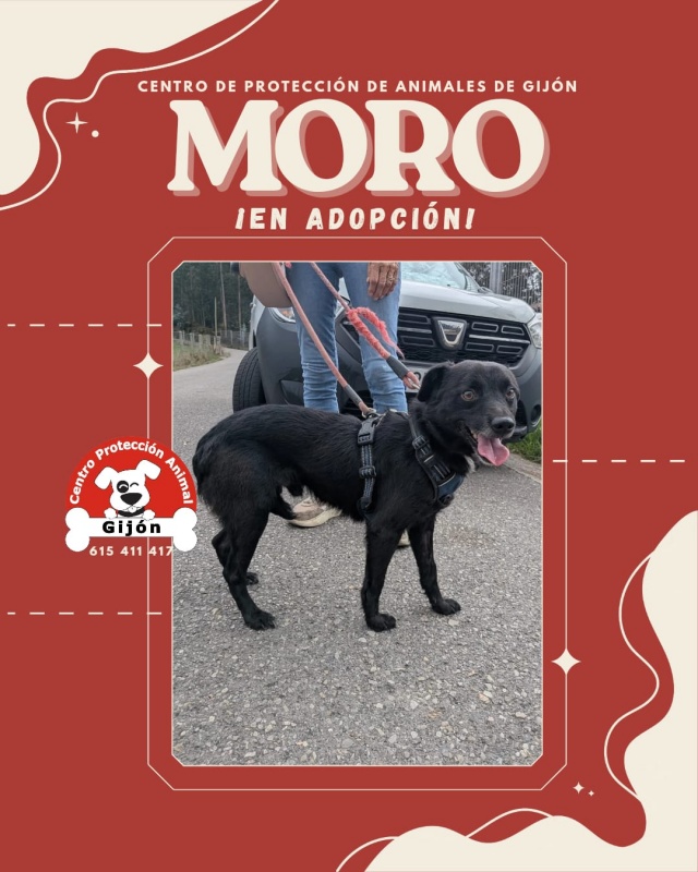 Foto MORO