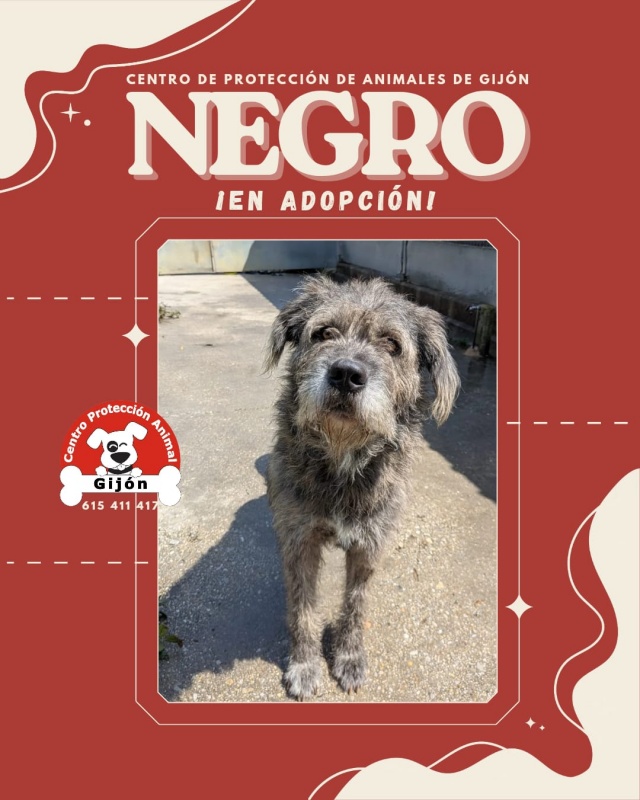 Foto NEGRO