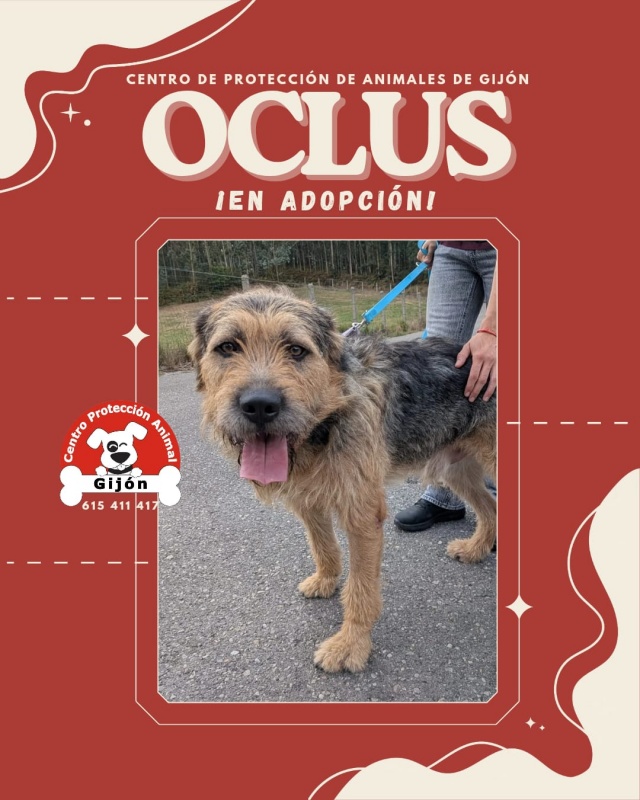 Foto OCLUS