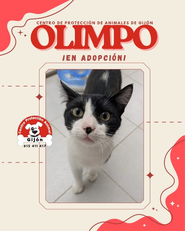 Foto OLIMPO
