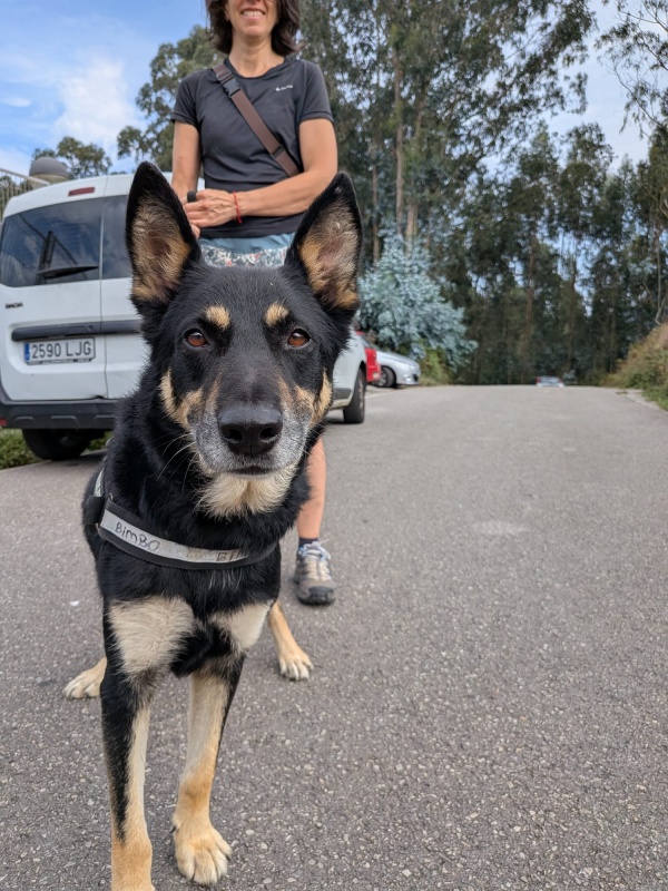 Foto LOBO