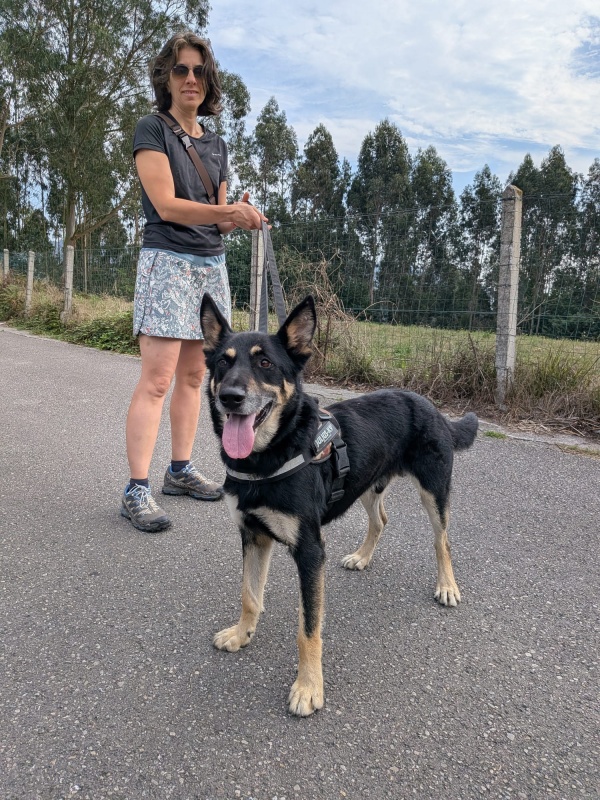 Foto LOBO