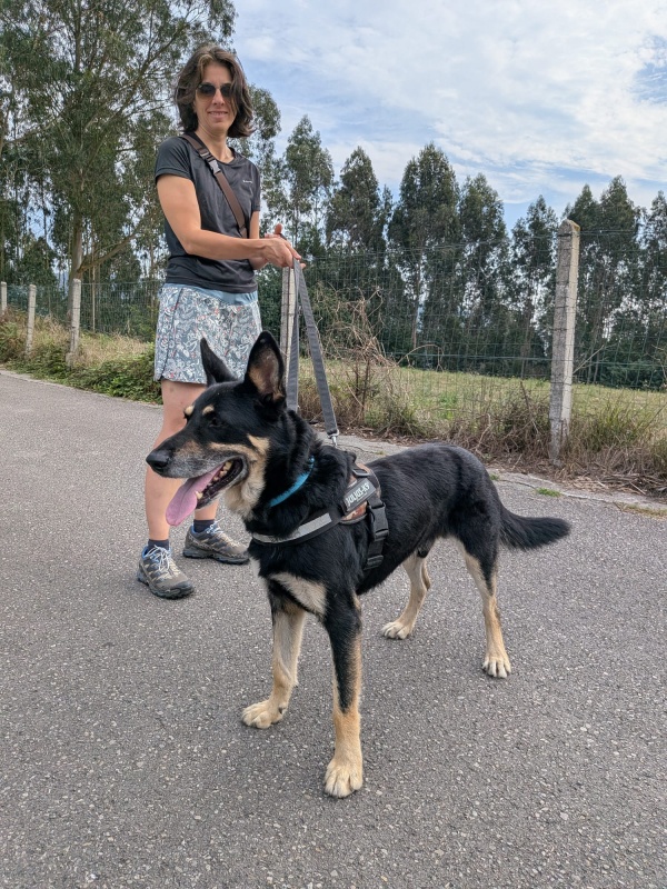 Foto LOBO