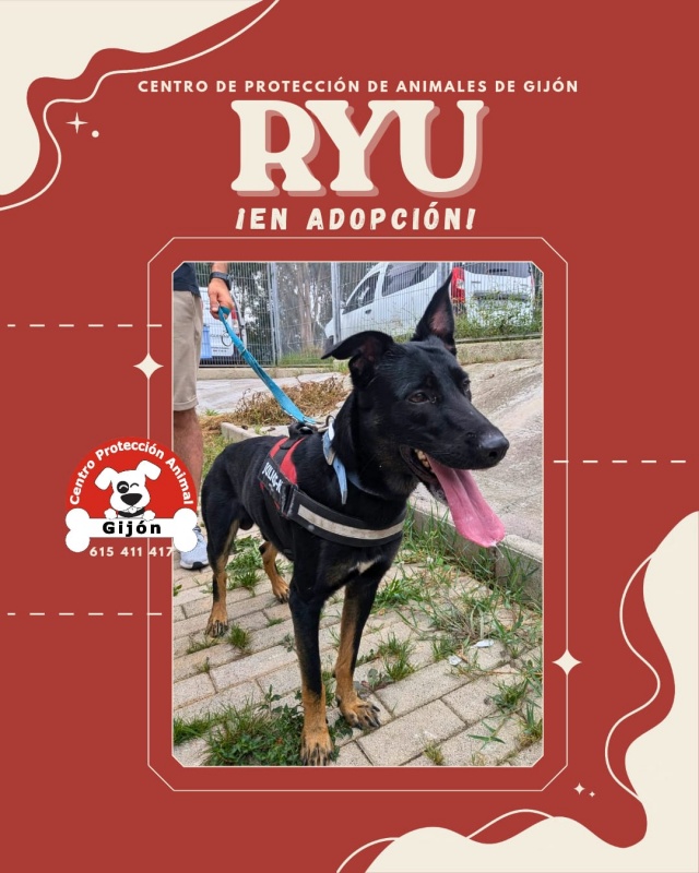 Foto RYU