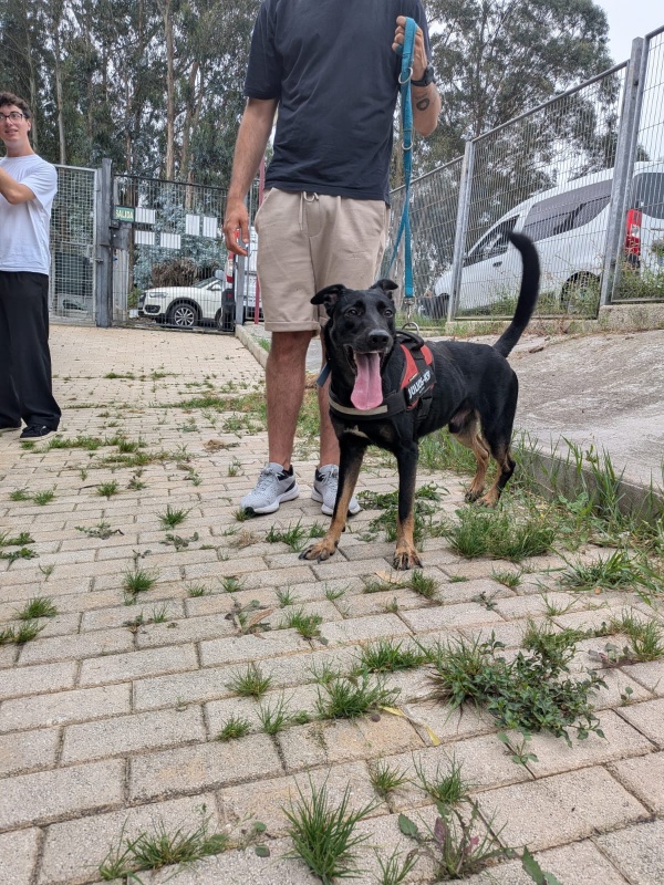Foto RYU