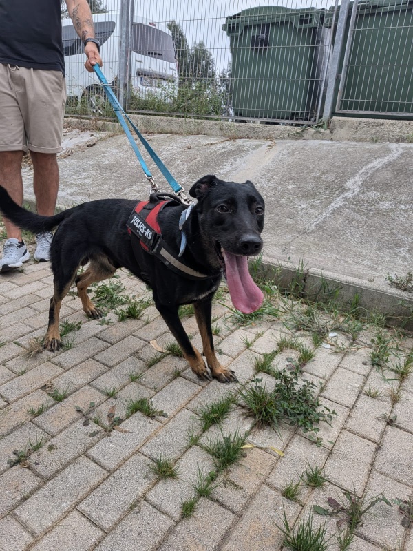 Foto RYU