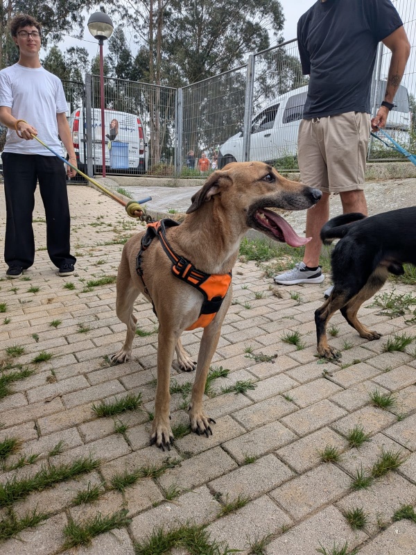 Foto LUNA