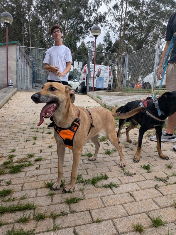 Foto LUNA