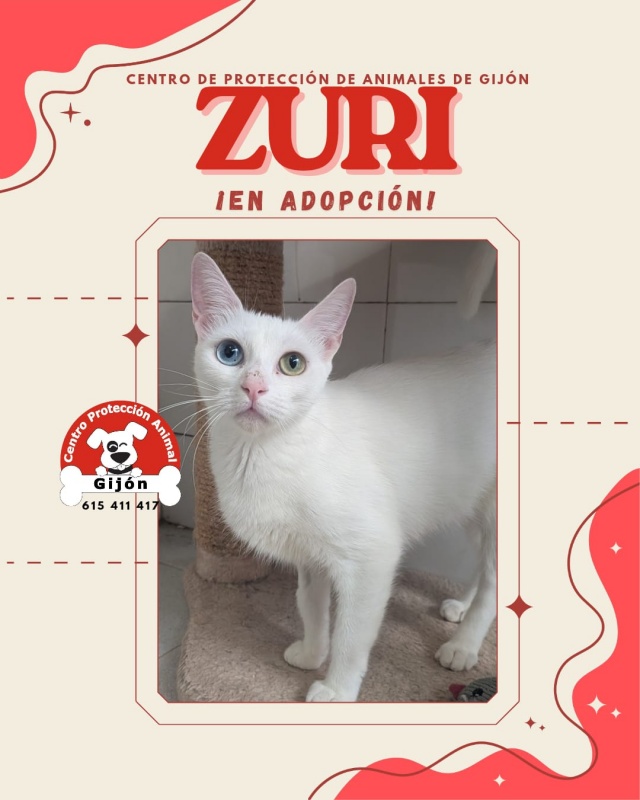 Foto ZURI