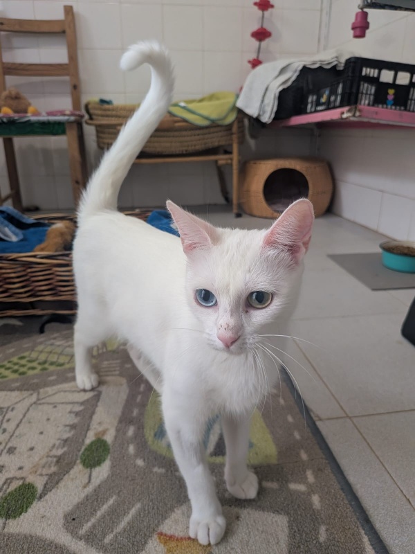 Foto ZURI