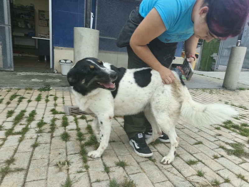 Foto Kira