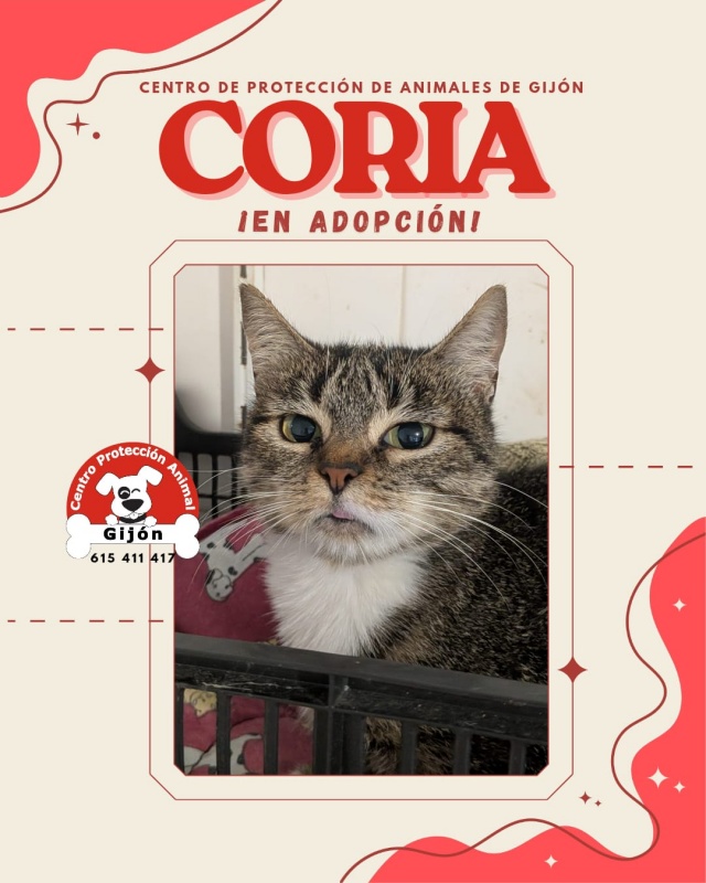 Foto CORIA