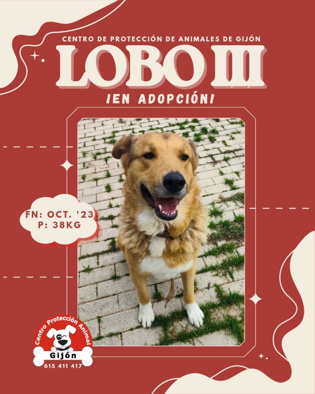 Foto LOBO III
