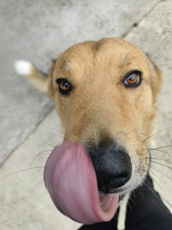 Foto LOBO III