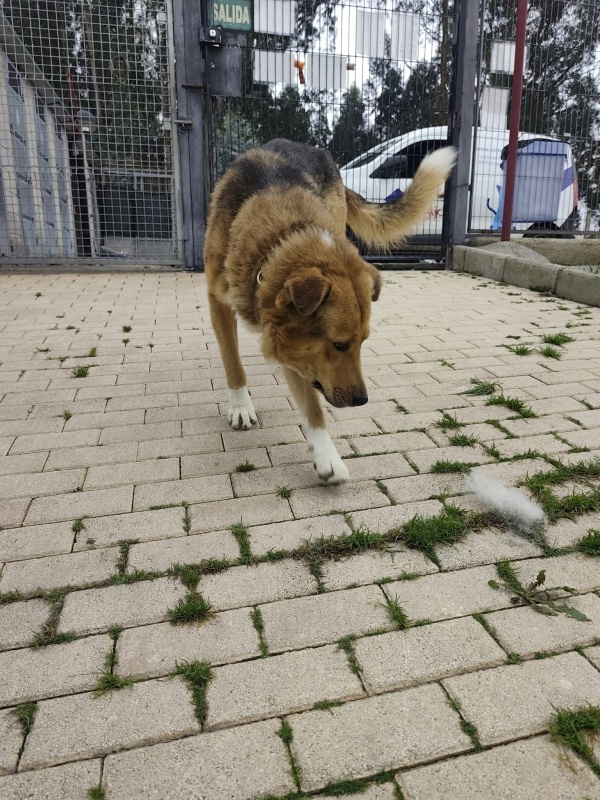 Foto LOBO III