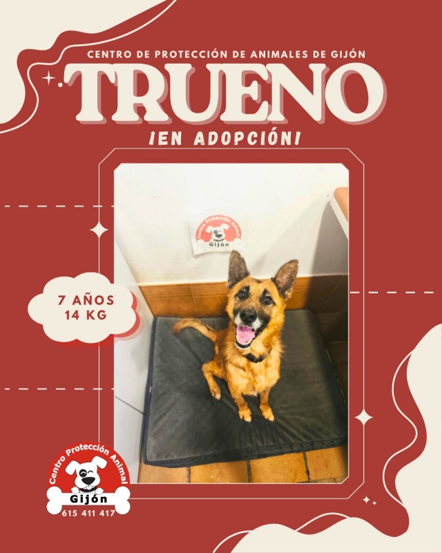 Foto Trueno