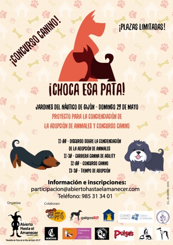 Foto ¡CHOCA ESA PATA!