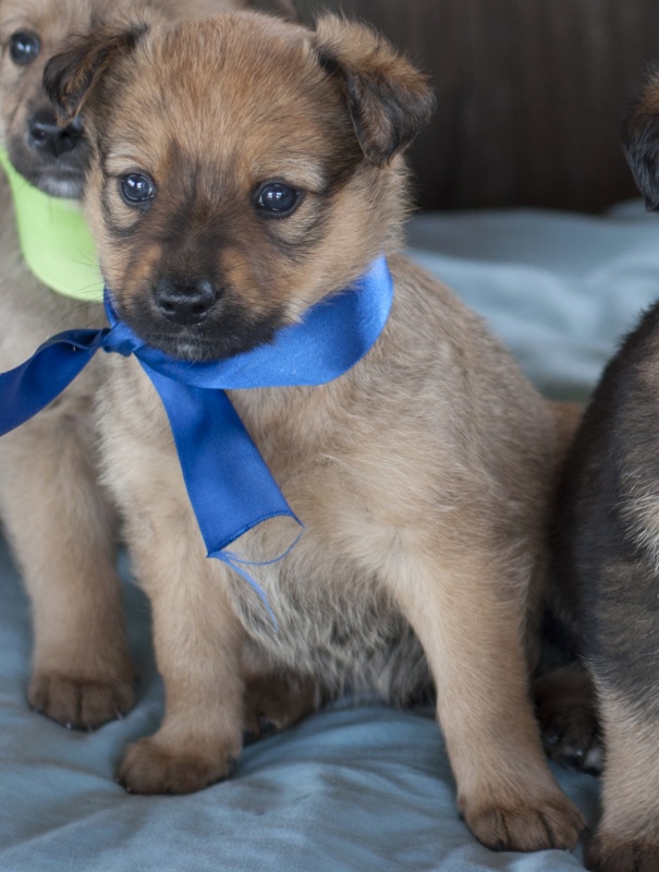 Foto COCO