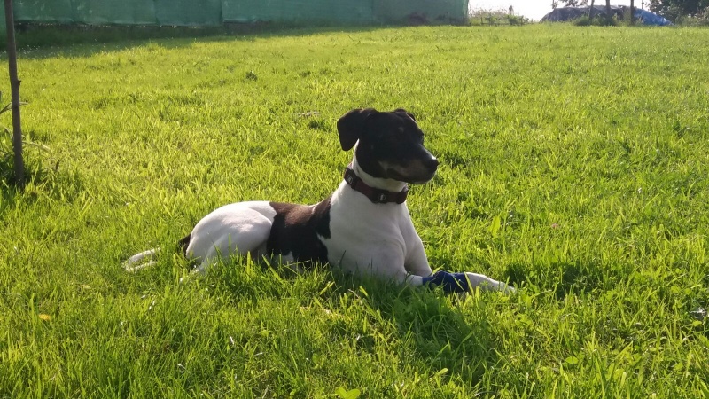 Foto MAYA