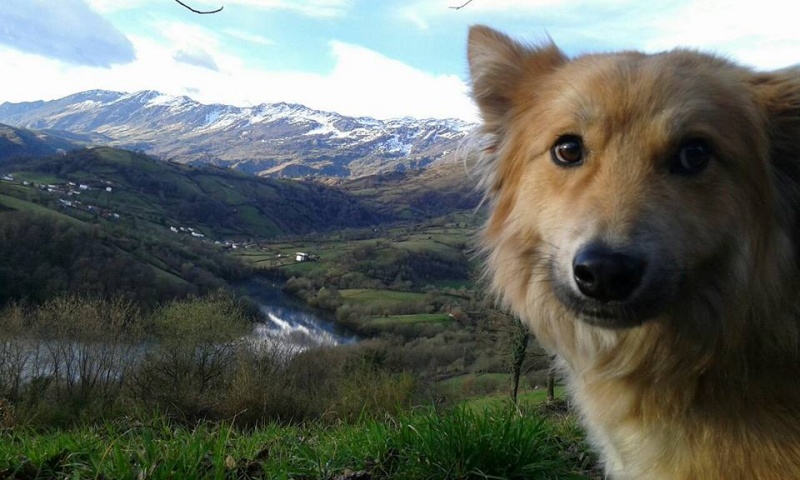 Foto Tico