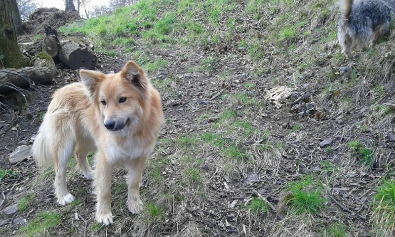 Foto Tico