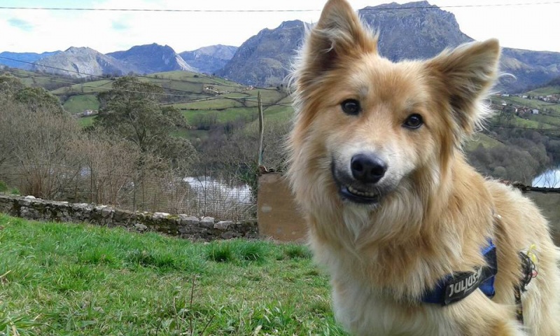 Foto Tico
