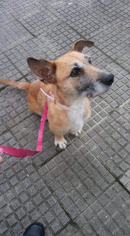 Foto Nora