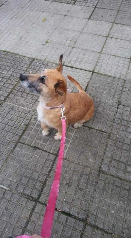 Foto Nora