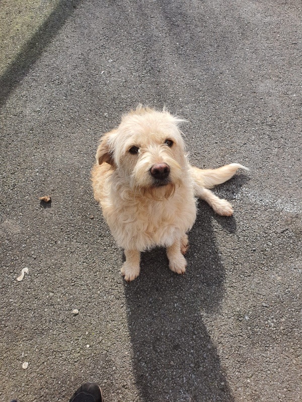 Foto Lola