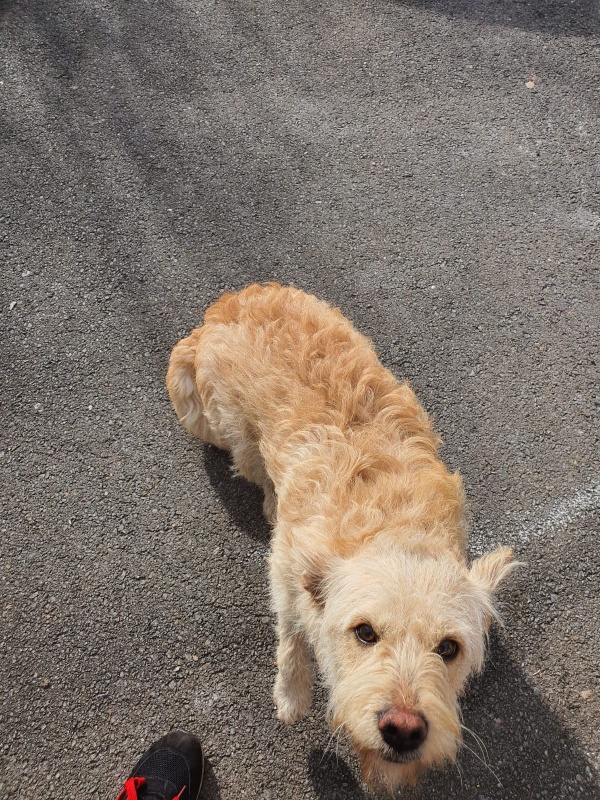 Foto Lola