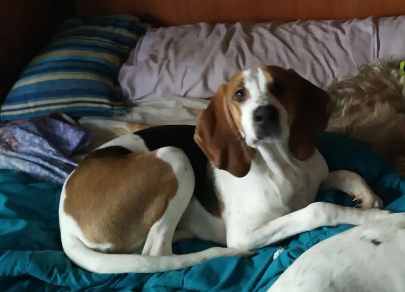 Foto Lucky