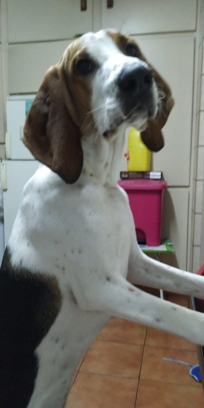 Foto Lucky