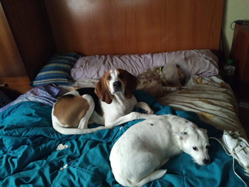 Foto Lucky