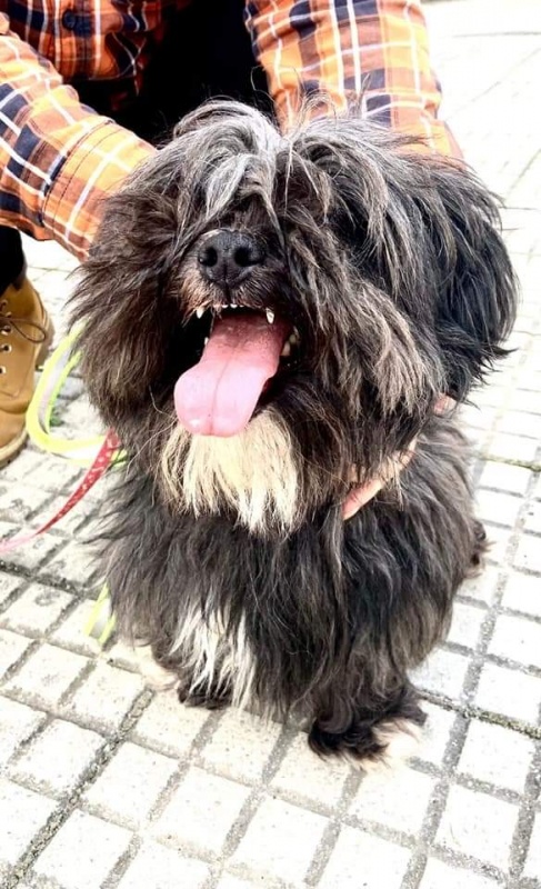 Foto Chumi