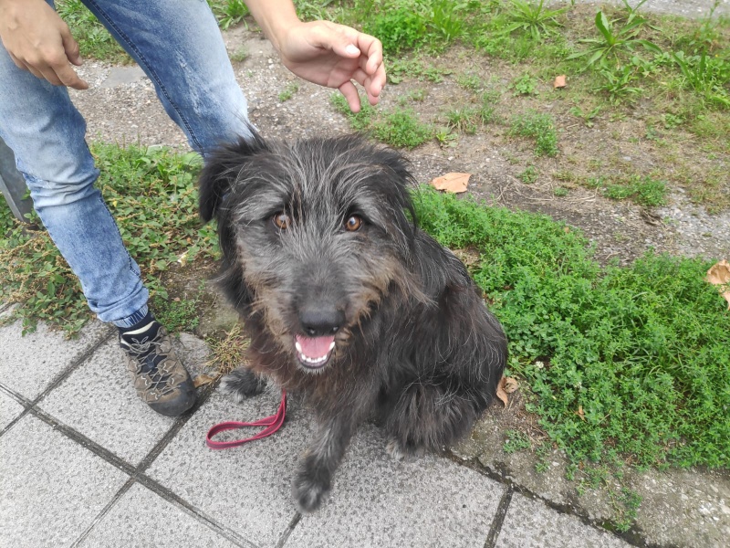 Foto Marley