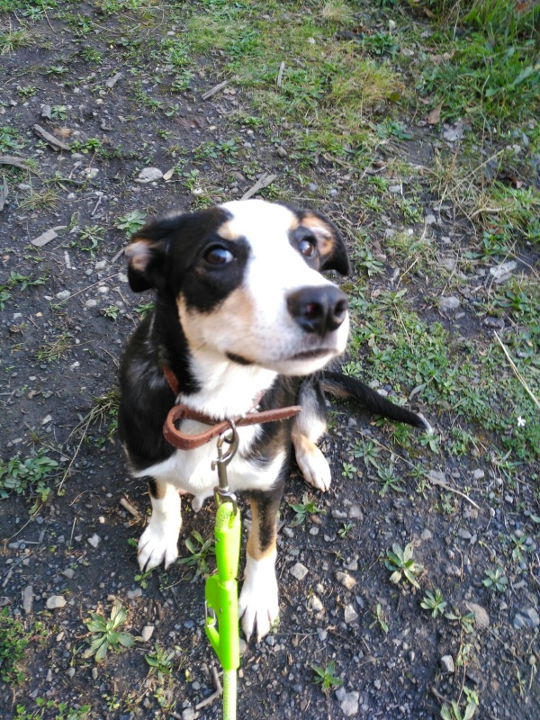 Foto Troy