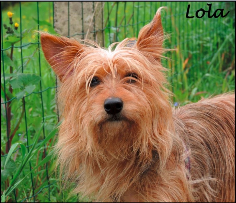 Foto Lola