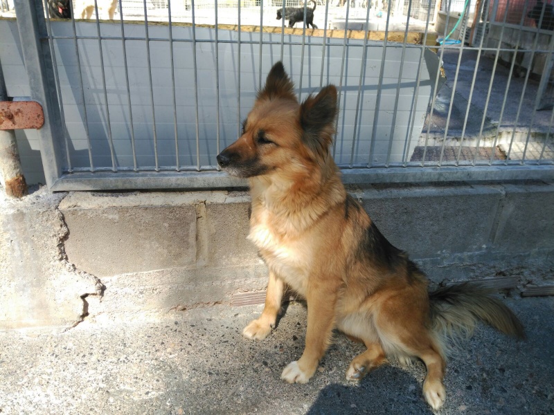 Foto Mar