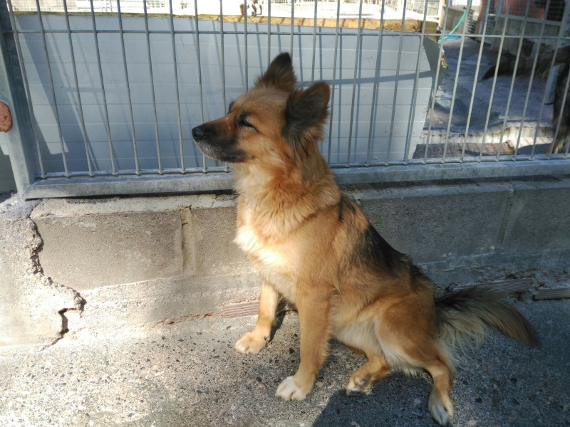 Foto Mar