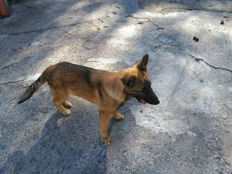 Foto Mar