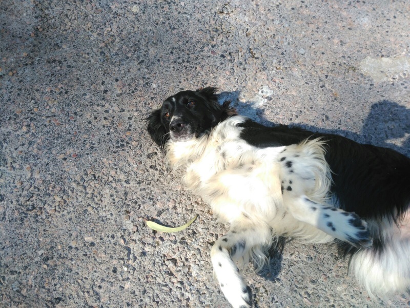 Foto Jana