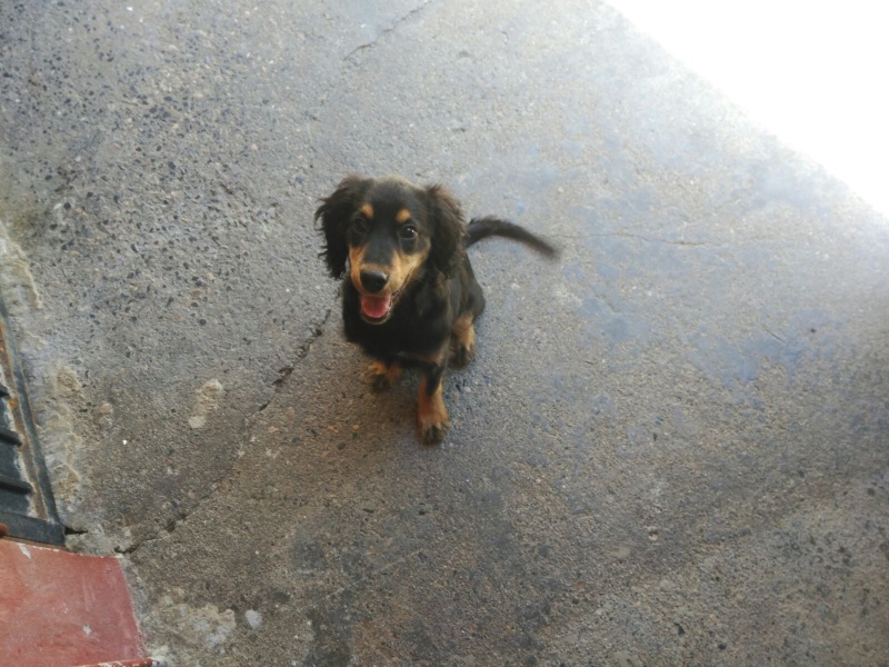 Foto Mozart