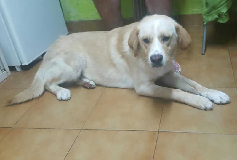 Foto Biba/Frida