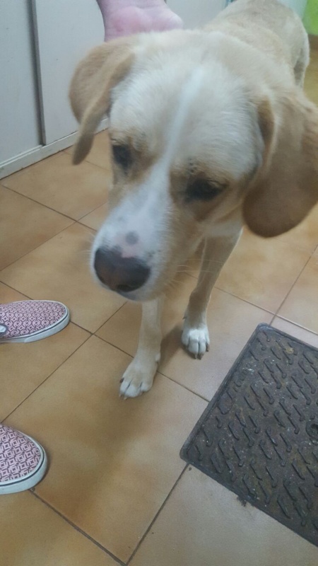 Foto Biba/Frida