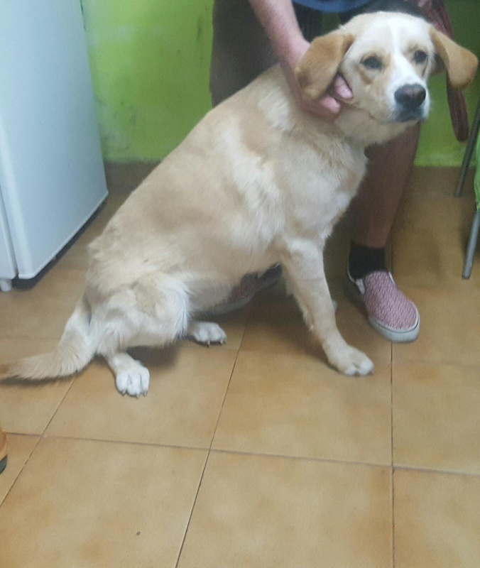 Foto Biba/Frida