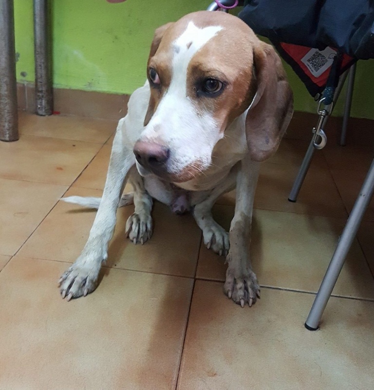 Foto Noa