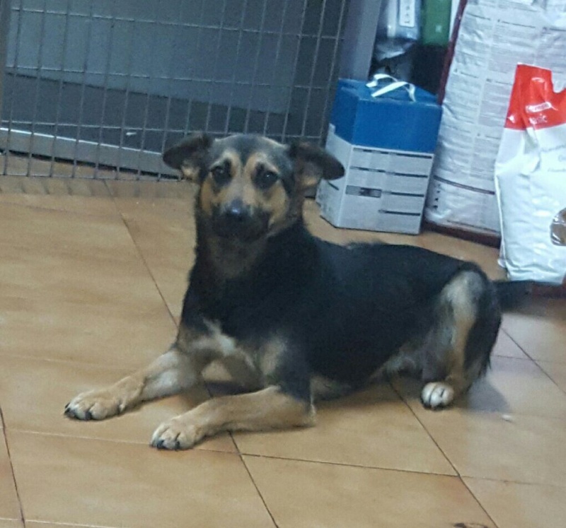 Foto Cota